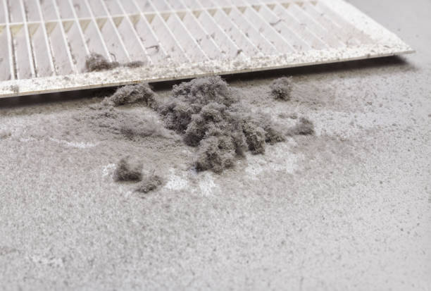 Best Commercial HVAC Duct Cleaning  in Holly Hill, FL