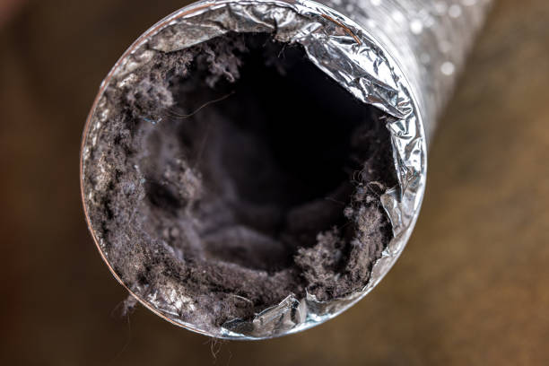 Best Affordable Air Duct Cleaning  in Holly Hill, FL