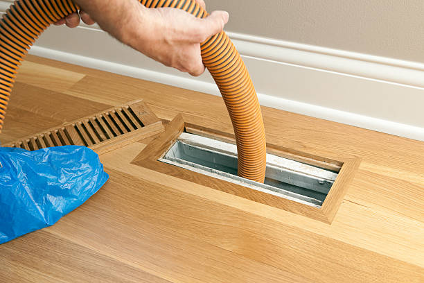 Best Air Vent Cleaning Services  in Holly Hill, FL
