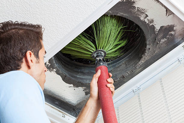 Best Affordable Duct Cleaning Services  in Holly Hill, FL