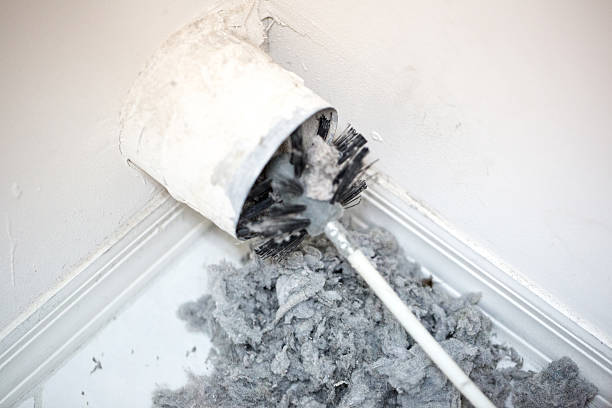 Best Dryer Vent Cleaning Services  in Holly Hill, FL